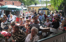 Parkens Stj&auml;rna 2008