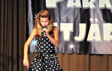 Parkens Stj&auml;rna 2008